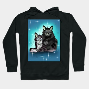 Maine Coon cat brothers with blue eyes Hoodie